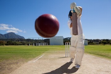 Unleashing the Thrills: Cricket Wagers in the Tiger’s Den at Betbhai9 Exchange!