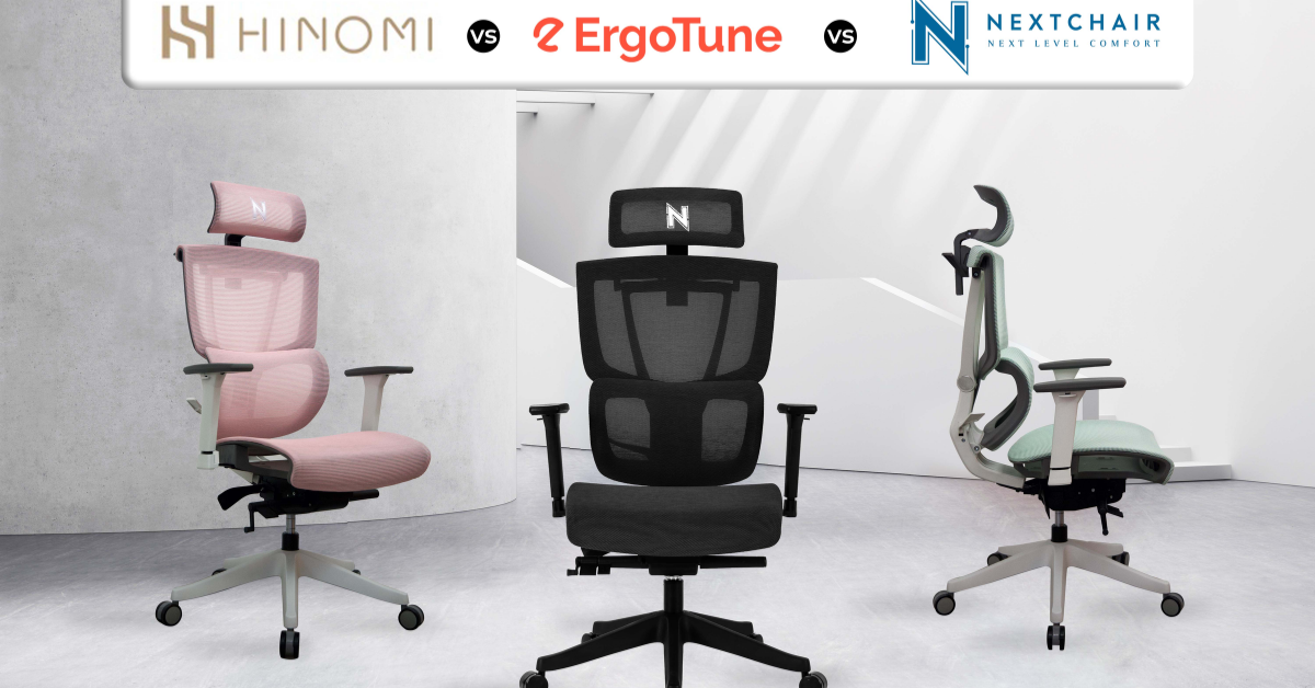 Hinomi Chair Review